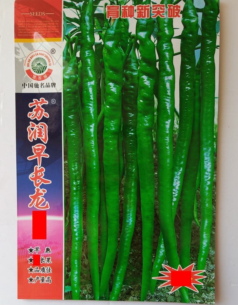 苏螺四号辣椒种子，产量高，品质佳，螺丝线椒种子