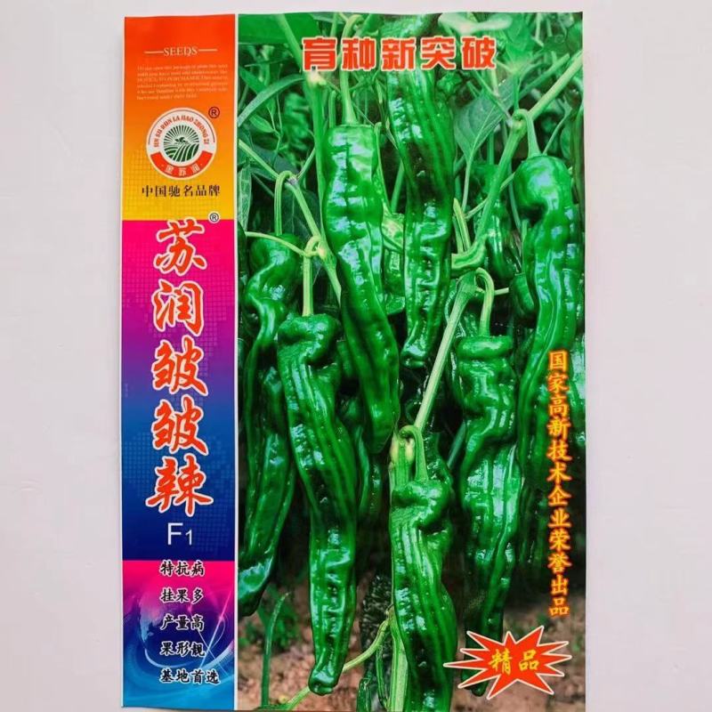 苏螺四号辣椒种子，产量高，品质佳，螺丝线椒种子