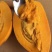 正宗鸡蛋果树苗蛋黄果树苗名贵仙桃水果树苗盆栽地栽带土带叶