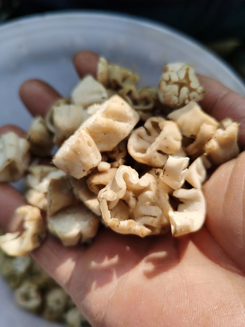 亏肾，虚气，羊肚菌菌炳。炒肉，炒腊肉。很香很香