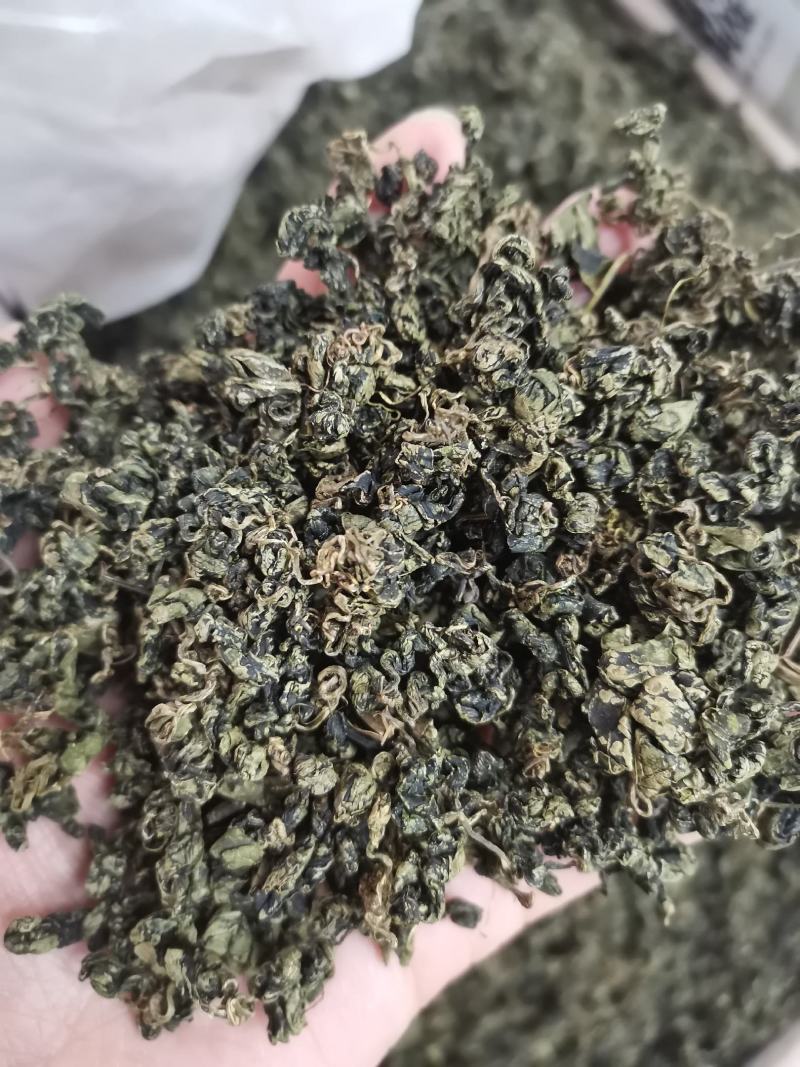 绞股蓝正品水洗绞股蓝精选泡水