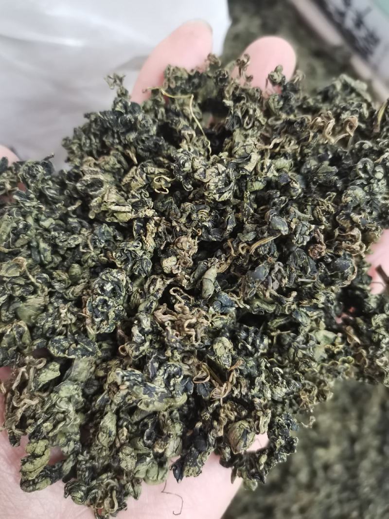 绞股蓝正品水洗绞股蓝精选泡水