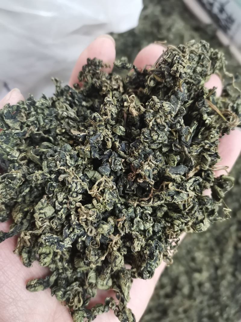 绞股蓝正品水洗绞股蓝精选泡水