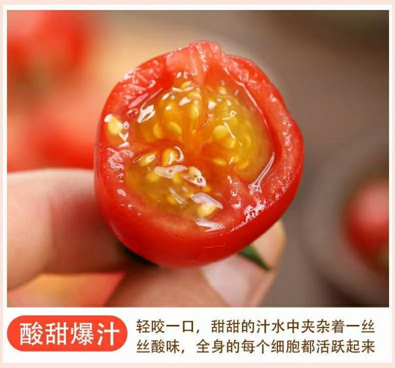 圣女果热卖千禧圣女果爆汁小番茄一件代发新鲜采摘