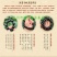 无患子树苗鬼见愁苗镇宅保平安植物木患子苗中药名贵