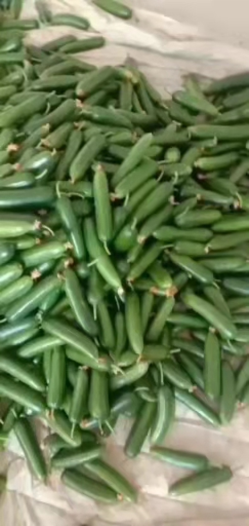 小黄瓜水果黄瓜无刺小黄瓜荷兰无次小黄瓜