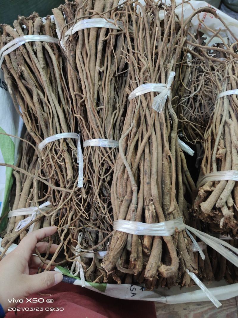 中药材千斤拔条新货无硫睿安中药材批发