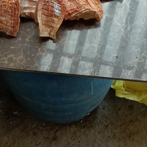 楠竹笋笋干精品玉兰片，无硫熏烤，产地直销