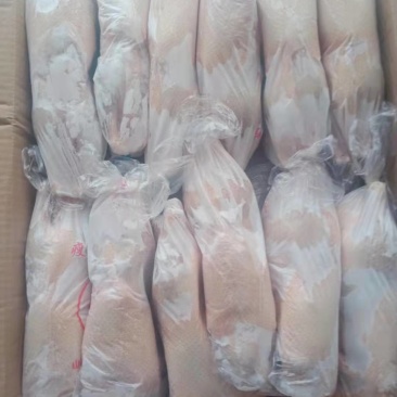 一级白条鸭全净膛850/900/950