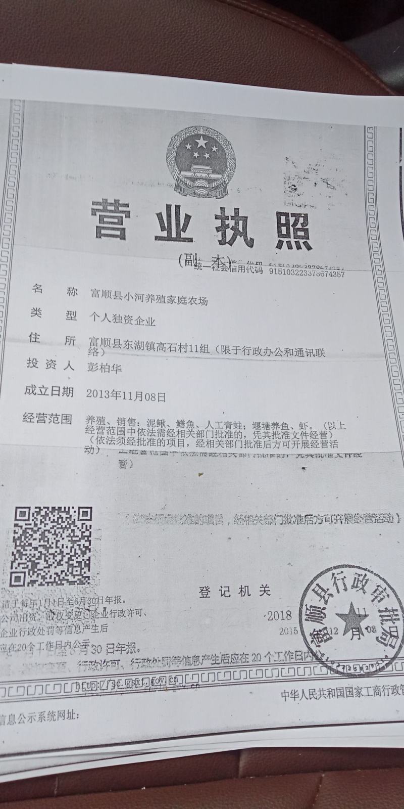 丁贵鱼苗，无病无伤，大水面培育，饲料训化