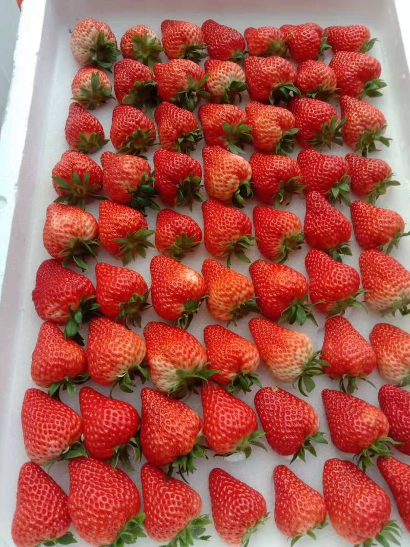 高品质草莓，色泽口感甜度，品质说话
