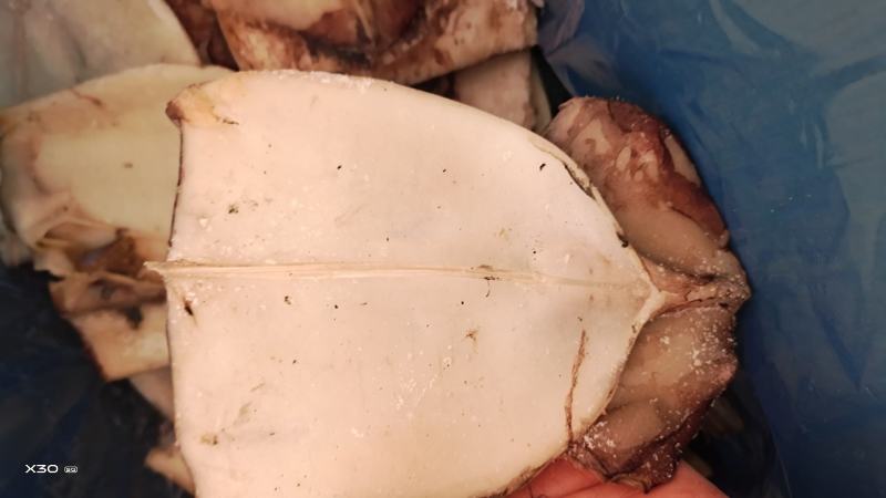鱿鱼板！鲜冻品辣炒做麻辣香锅！烧烤摊饭店专用一手货源