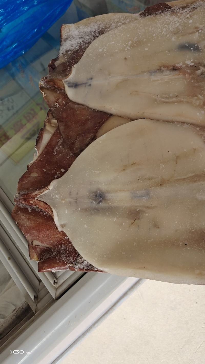 鱿鱼板！鲜冻品辣炒做麻辣香锅！烧烤摊饭店专用一手货源