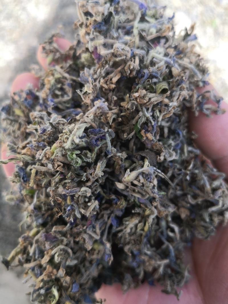 【推荐】大别山野生芫花，头痛花，全干新货上市，欢迎选购