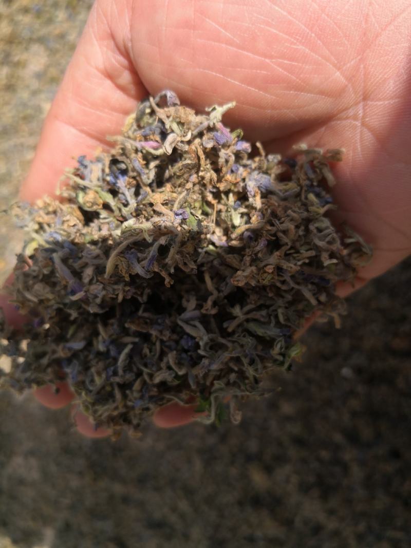 【推荐】大别山野生芫花，头痛花，全干新货上市，欢迎选购