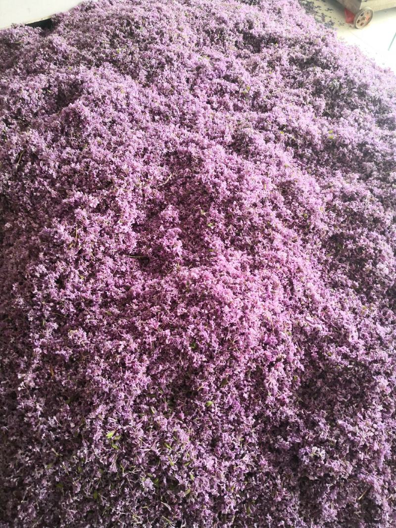 【推荐】大别山野生芫花，头痛花，全干新货上市，欢迎选购