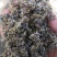 【推荐】大别山野生芫花，头痛花，全干新货上市，欢迎选购
