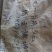 湘西深山野生小山竹笋，一手货源，品质保证
