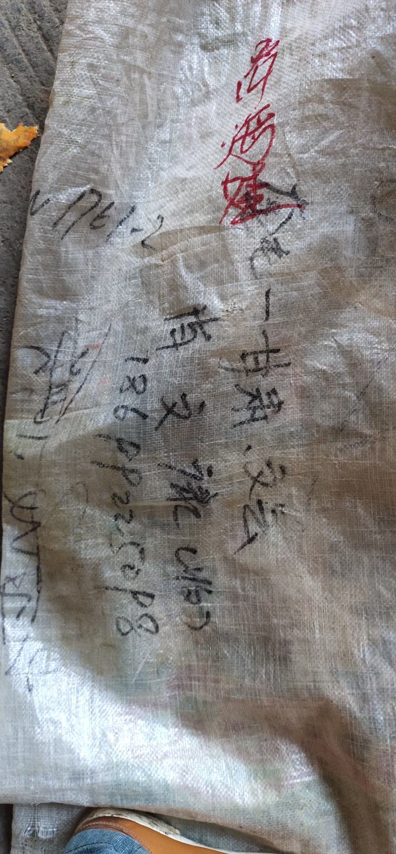 湘西深山野生小山竹笋，一手货源，品质保证
