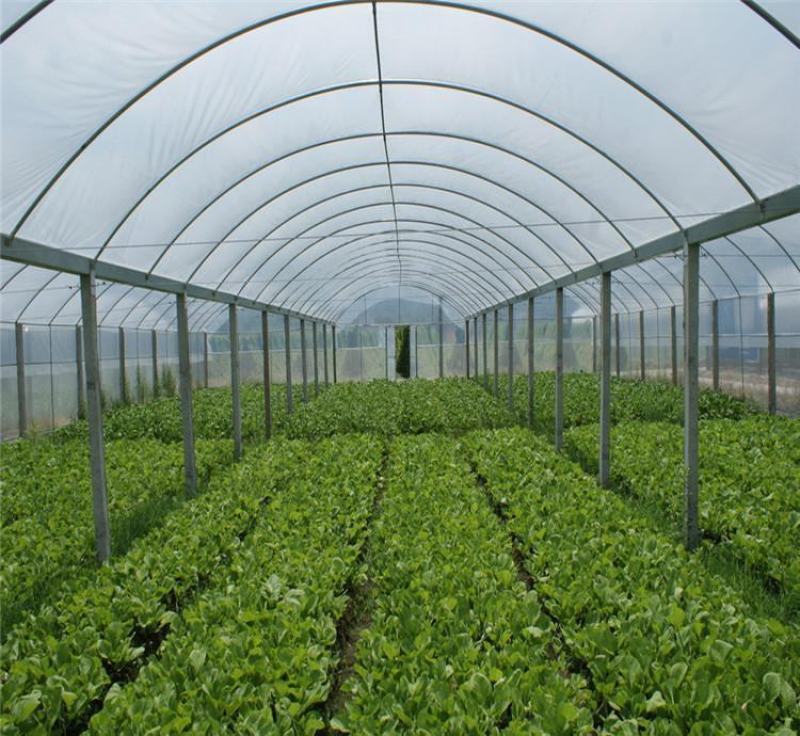 西瓜大棚蔬菜大棚西红柿大棚骨架养殖大棚管厂家