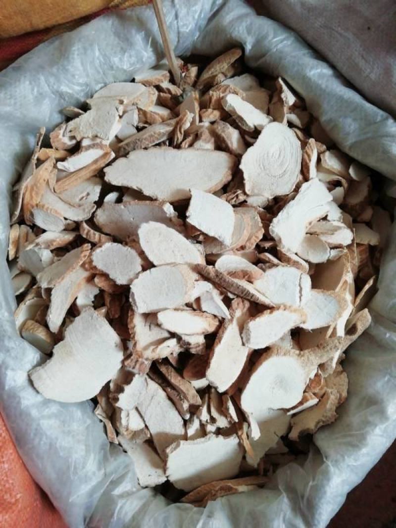 大罗伞玉郎伞粉罗伞木肚端山大颜刀斧伤山大刀野