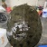 外塘冷水池精品黑花黄花青花公甲鱼老鳖团鱼鱼靓品质高