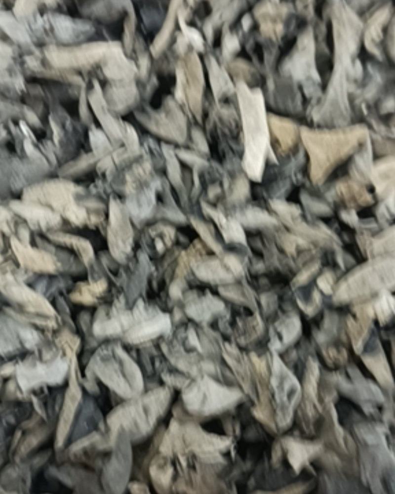 1.2cm黑木耳老鼠耳云耳