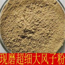 现磨中药材大风子粉麻风子粉大疯子粉散装包邮