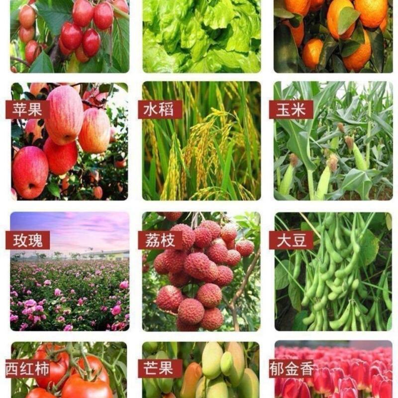 抗旱防冻液防冻壮苗增产零下20度不受冻害