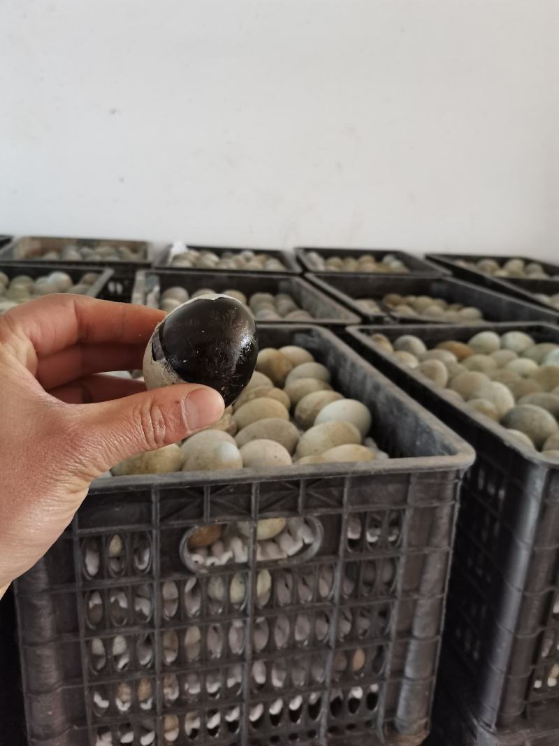 松花皮蛋，麻壳皮蛋，稻壳松花蛋，地摊江湖的货源