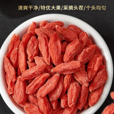 特级枸杞宁夏中宁枸杞