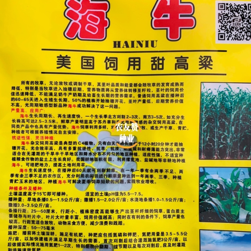 美国进口饲用甜高粱种子大力士，海牛，大卡高产牧草种子