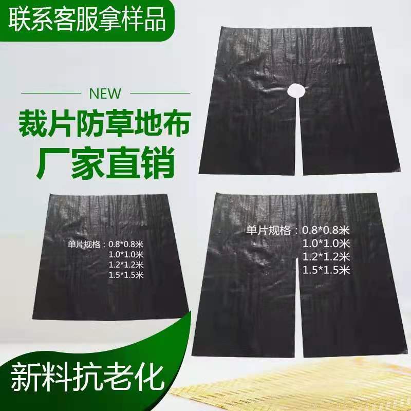 防草布除草布打孔热切地布切片防草布打孔切片厂家直销