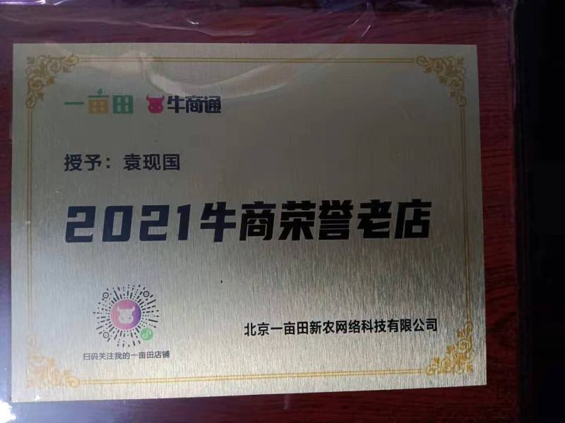 富民苗厂常年出售，代育各种：嫁接8424，美都西瓜苗
