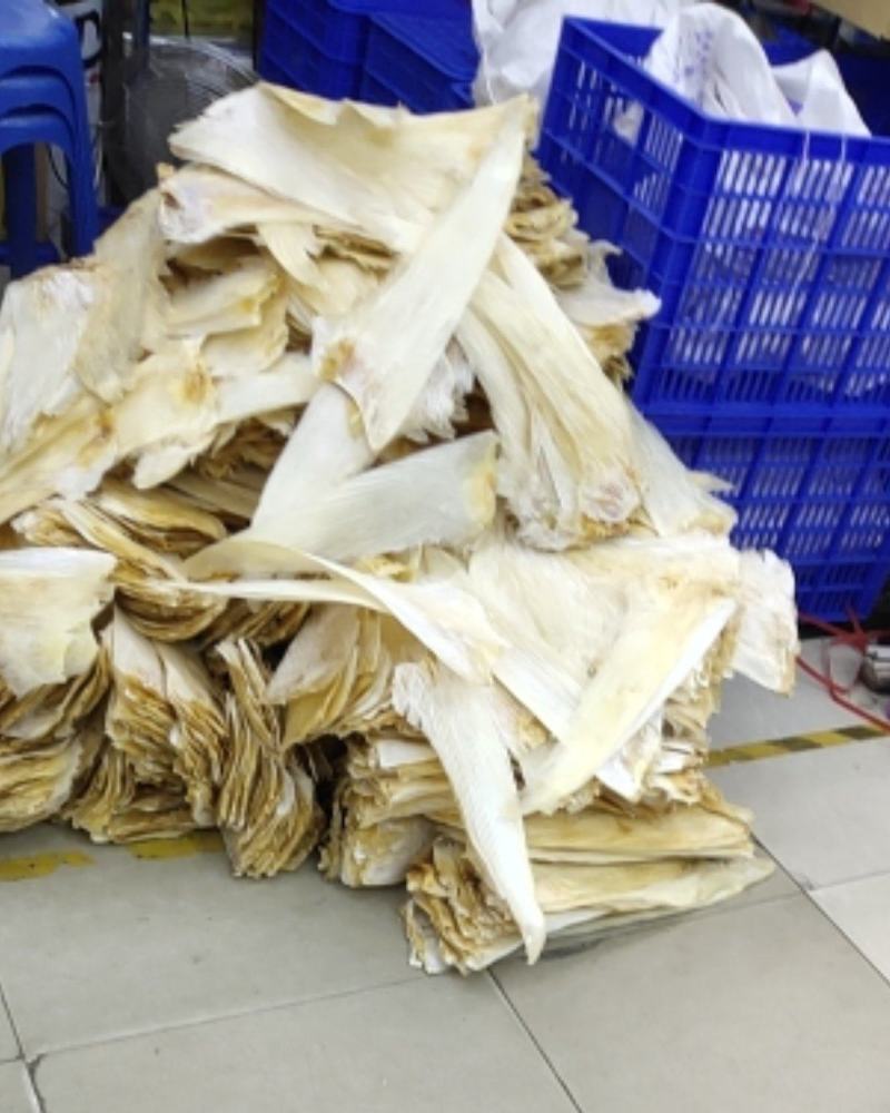 牙拣到货！量大你就来！