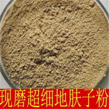 中药材纯地肤子粉优质散装包邮