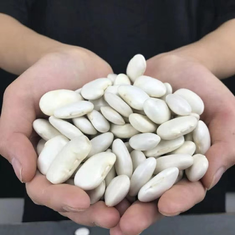 大白豆芸豆雪豆云南四川特产产地直发货主用来煲汤颗粒饱满