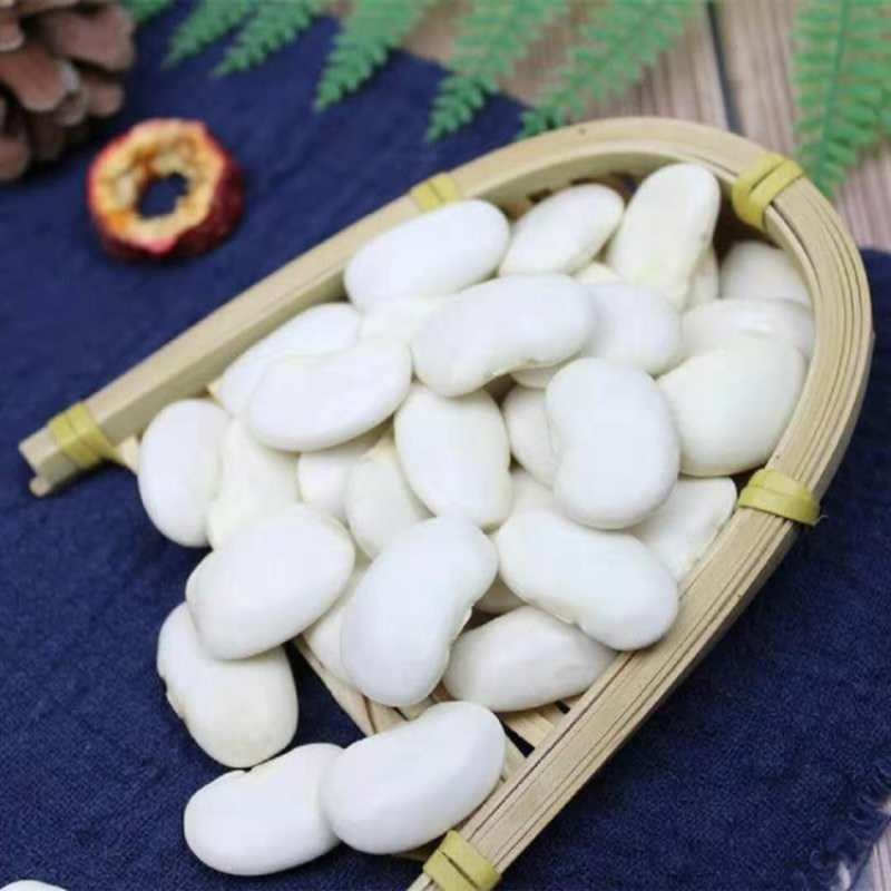 大白豆芸豆雪豆云南四川特产产地直发货主用来煲汤颗粒饱满