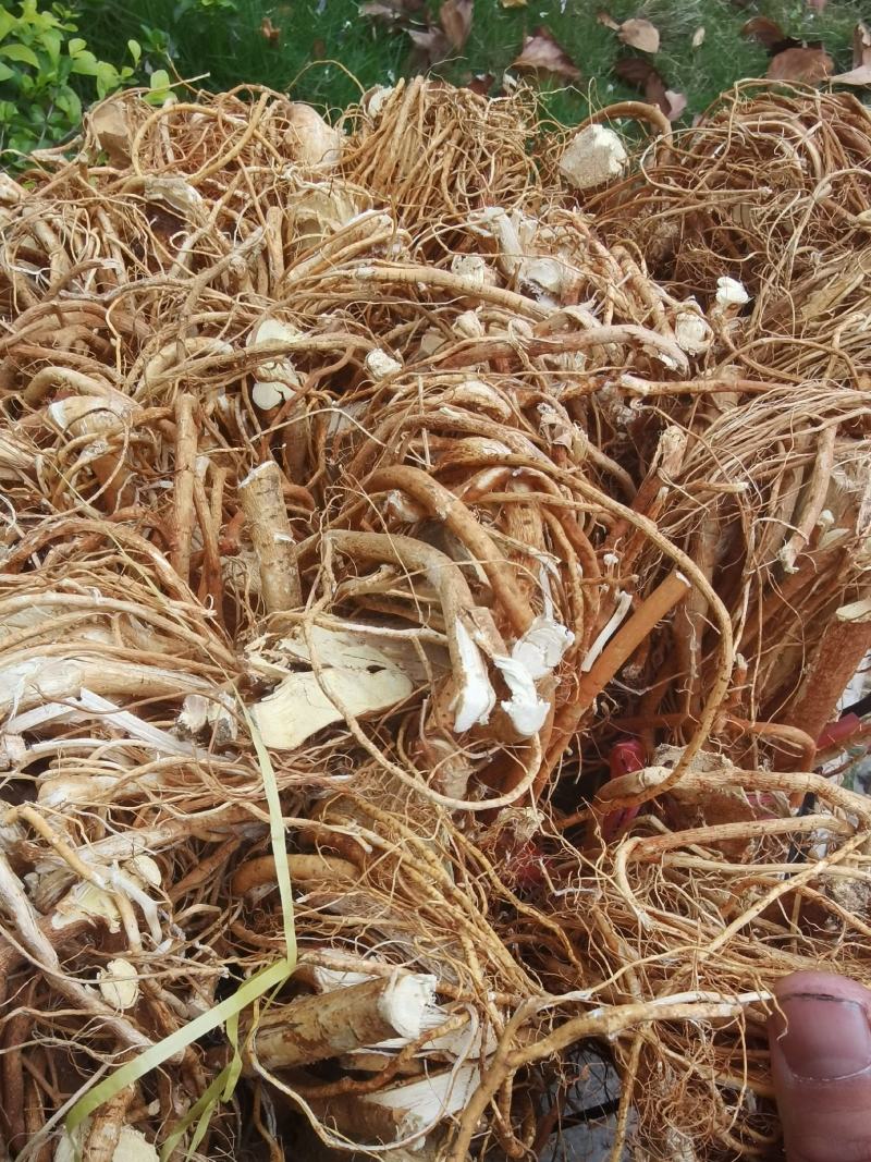 五指毛桃，干货香味浓郁