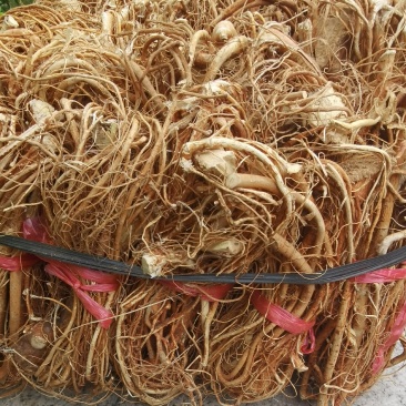 五指毛桃，干货香味浓郁
