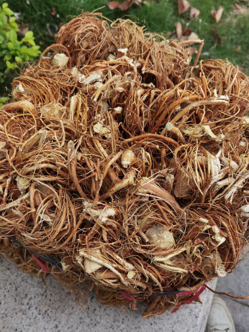 五指毛桃，干货香味浓郁