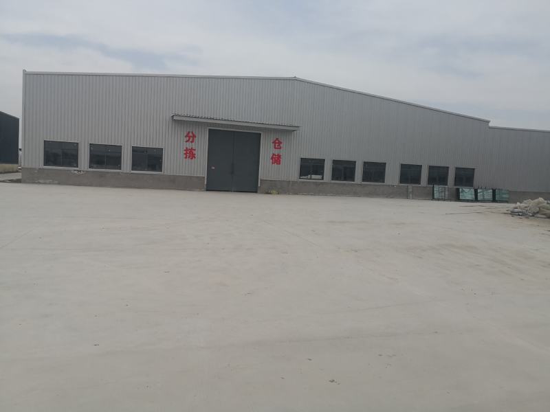 精品西红柿基地一手货源大量现货出售2-4棚人工分拣