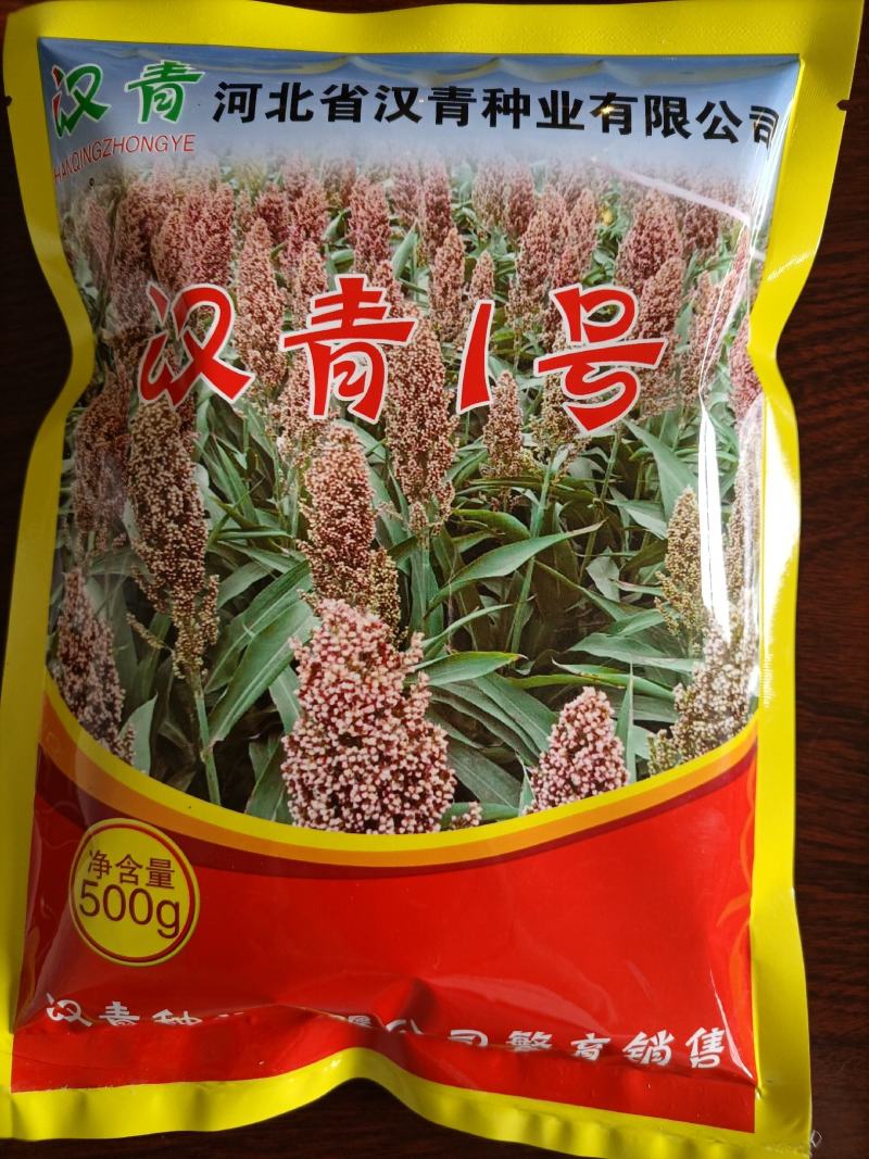 河北汉青种业厂家直销汉青1号杂交高粱种子