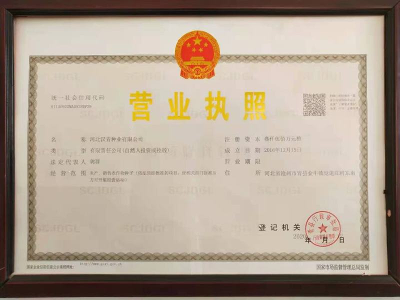 抗性好、产量高的夏播高粱品种：抗四杂交种