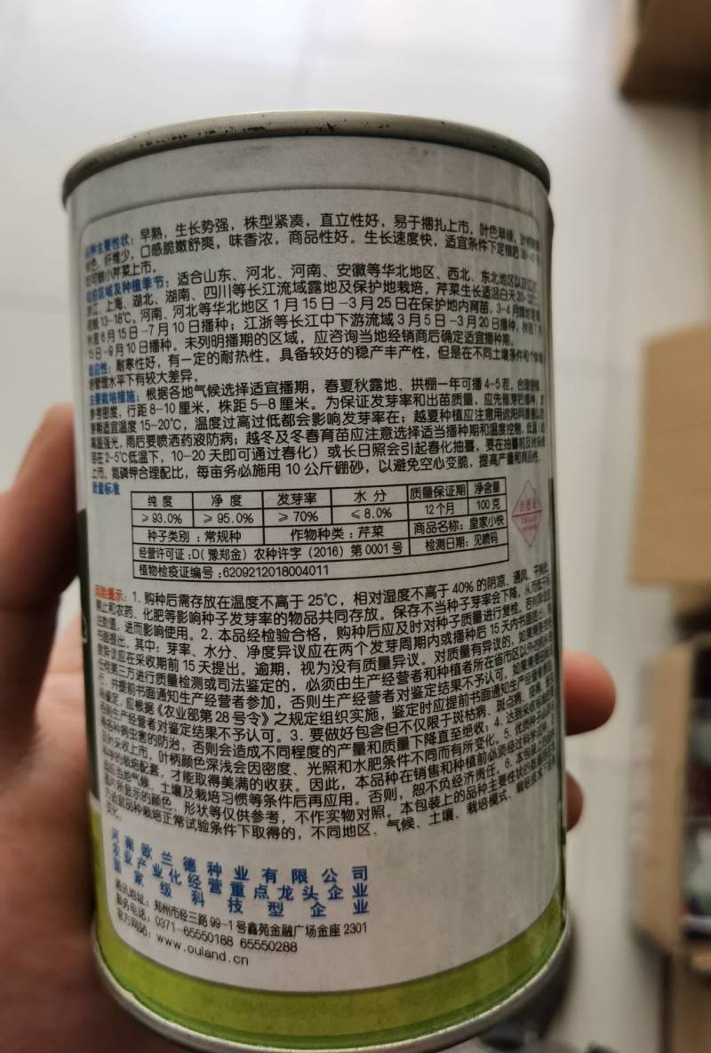 小香芹芹菜种子，欧兰德皇家小快速生四季无筋黄嫩芹菜种子