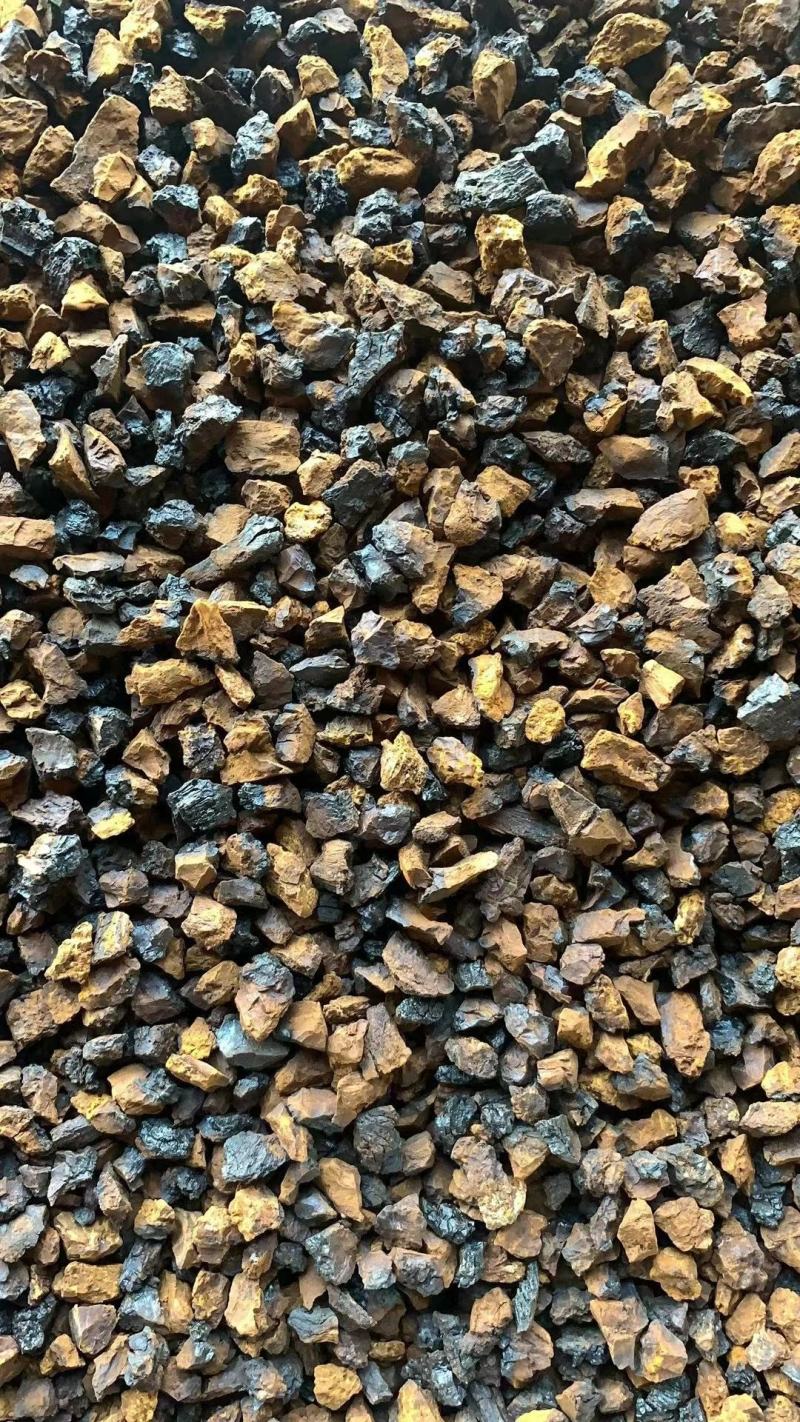 白桦茸黄褐孔菌煮水规格齐全2斤包邮