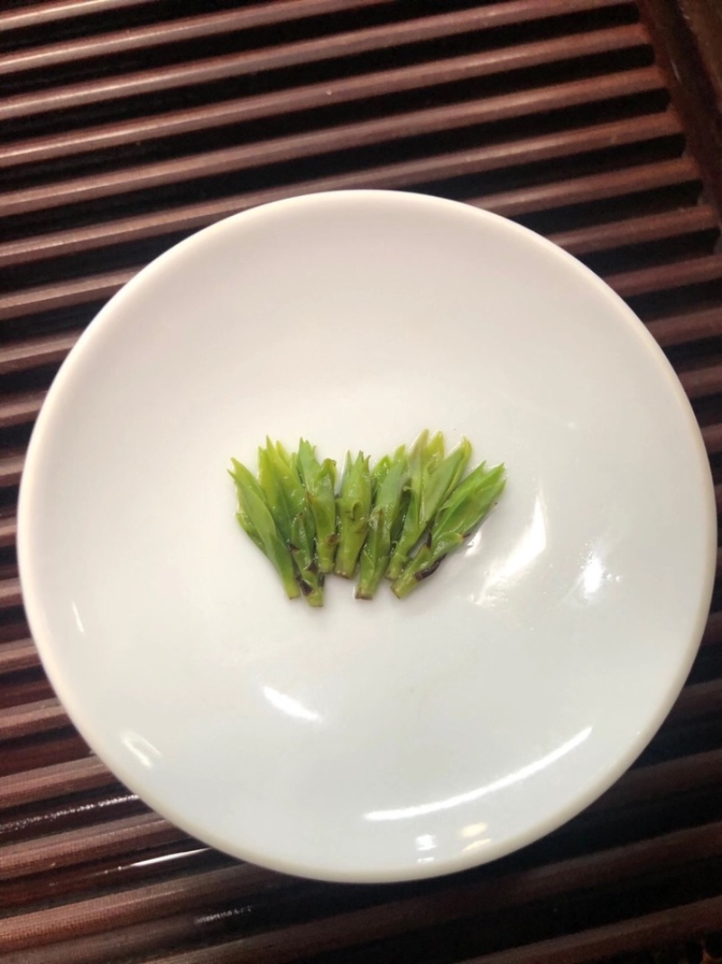 苦丁茶小叶苦丁四川头采青山绿水