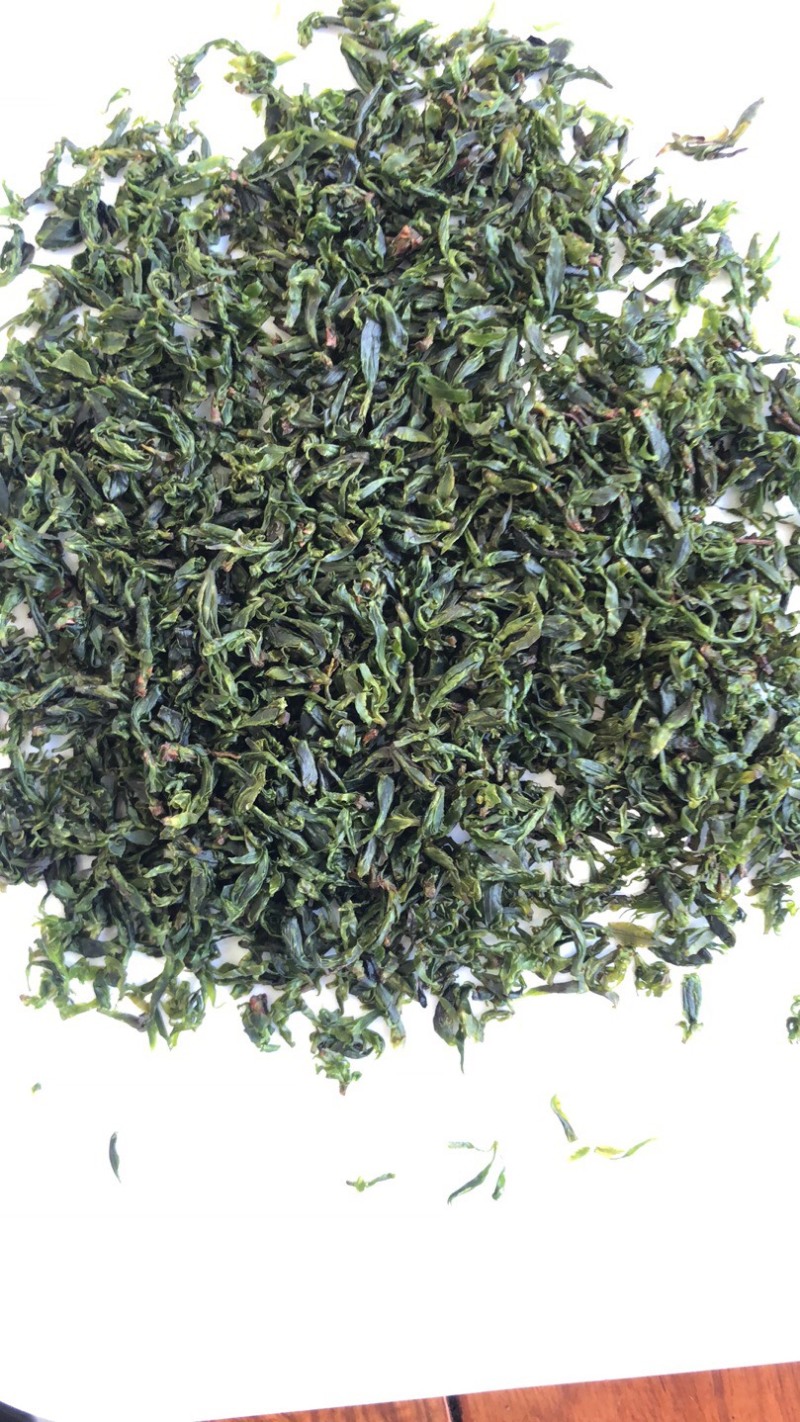 苦丁茶小叶苦丁四川头采青山绿水