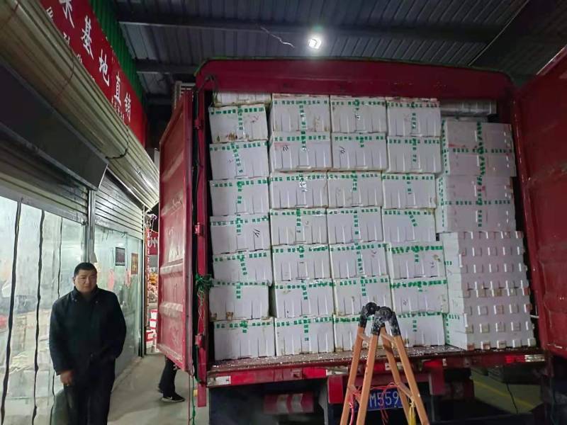 广东菜心，产地直销，量大从优，可视频看货，价格随行就市