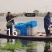 【精选】江苏稻田虾苗，存活率高，大量现货，可实地考察